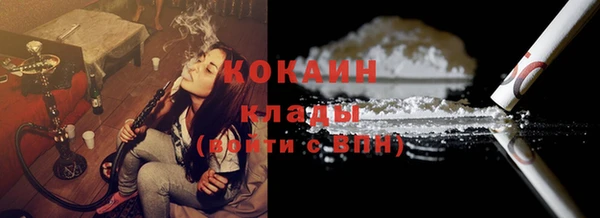 Альфа ПВП Аркадак