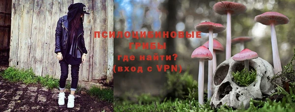 Альфа ПВП Аркадак