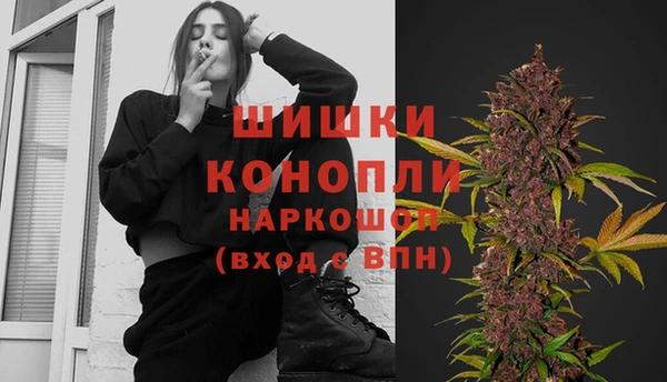 Альфа ПВП Аркадак
