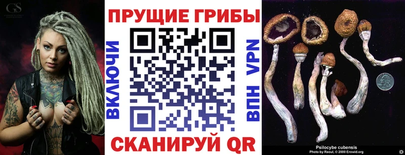 Галлюциногенные грибы MAGIC MUSHROOMS  Купить где  Ступино 